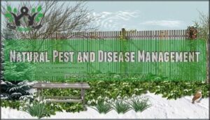 natural pest and disease management