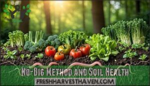 no-dig method and soil health