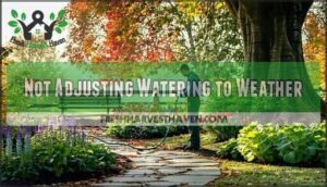 not adjusting watering to weather