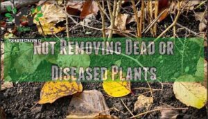 not removing dead or diseased plants
