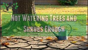 not watering trees and shrubs enough