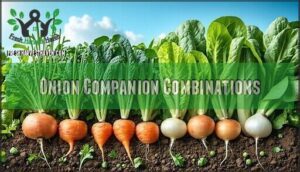 onion companion combinations