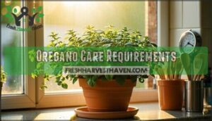 oregano care requirements