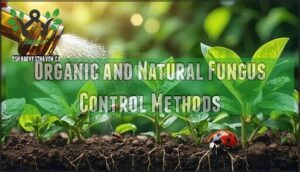 organic and natural fungus control methods