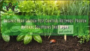 organic herb garden pest control methods