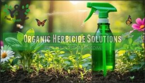 organic herbicide solutions