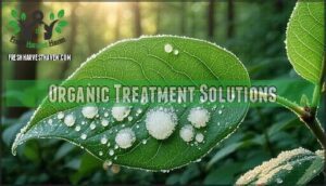 organic treatment solutions