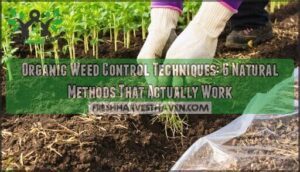 organic weed control techniques organic weed control techniques