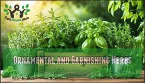 ornamental and garnishing herbs