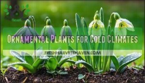 ornamental plants for cold climates