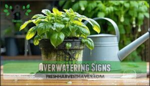 overwatering signs