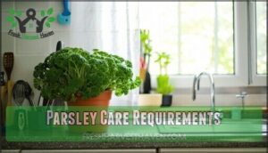 parsley care requirements