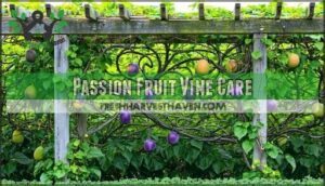 passion fruit vine care