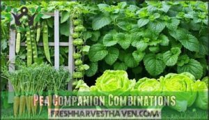 pea companion combinations
