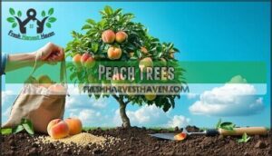 peach trees