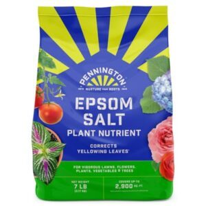 Pennington 397606 Epsom Salt Plant B0064XRJHE