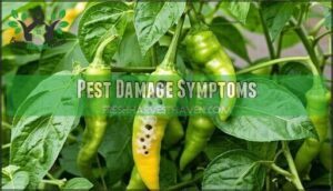 pest damage symptoms