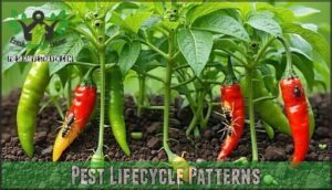pest lifecycle patterns