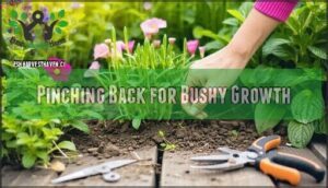 pinching back for bushy growth