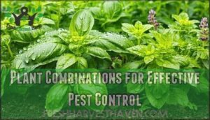 plant combinations for effective pest control