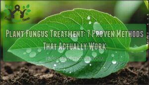 plant fungus treatment