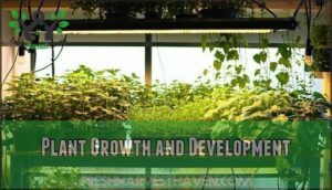plant growth and development