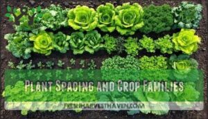 plant spacing and crop families plant spacing and crop families