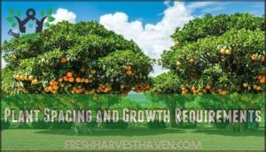 plant spacing and growth requirements