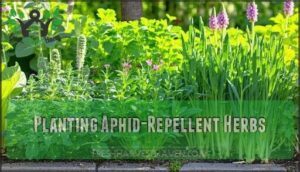 planting aphid-repellent herbs