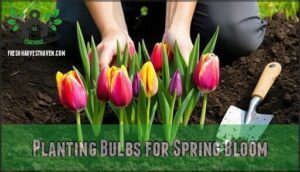 planting bulbs for spring bloom
