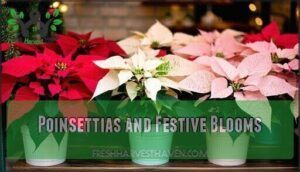 poinsettias and festive blooms
