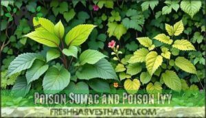 poison sumac and poison ivy
