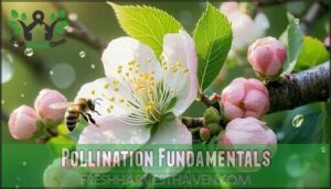 pollination fundamentals