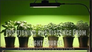 positioning and distance from light source