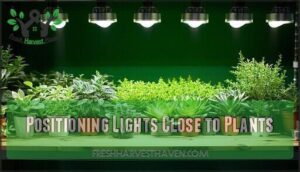 positioning lights close to plants