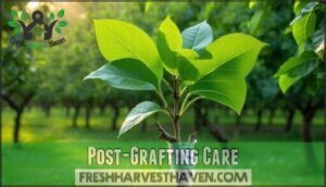 post-grafting care