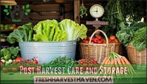 post harvest care and storage