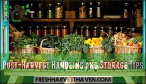 post-harvest handling and storage tips