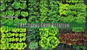 practicing crop rotation
