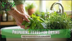 preparing herbs for drying