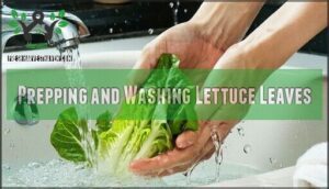 prepping and washing lettuce leaves