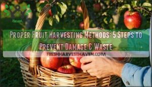 proper fruit harvesting methods to prevent damage