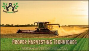 proper harvesting techniques