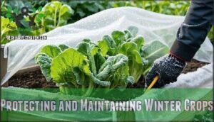 protecting and maintaining winter crops