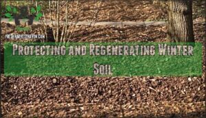 protecting and regenerating winter soil