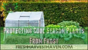 protecting cool season plants from frost