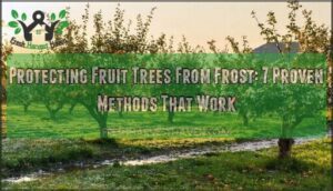 protecting fruit trees from frost