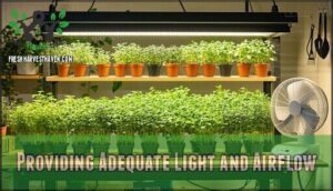 providing adequate light and airflow