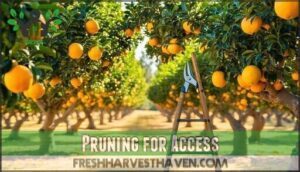 pruning for access