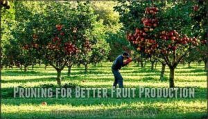 pruning for better fruit production